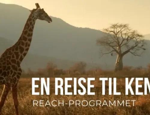 En reise til Kenya